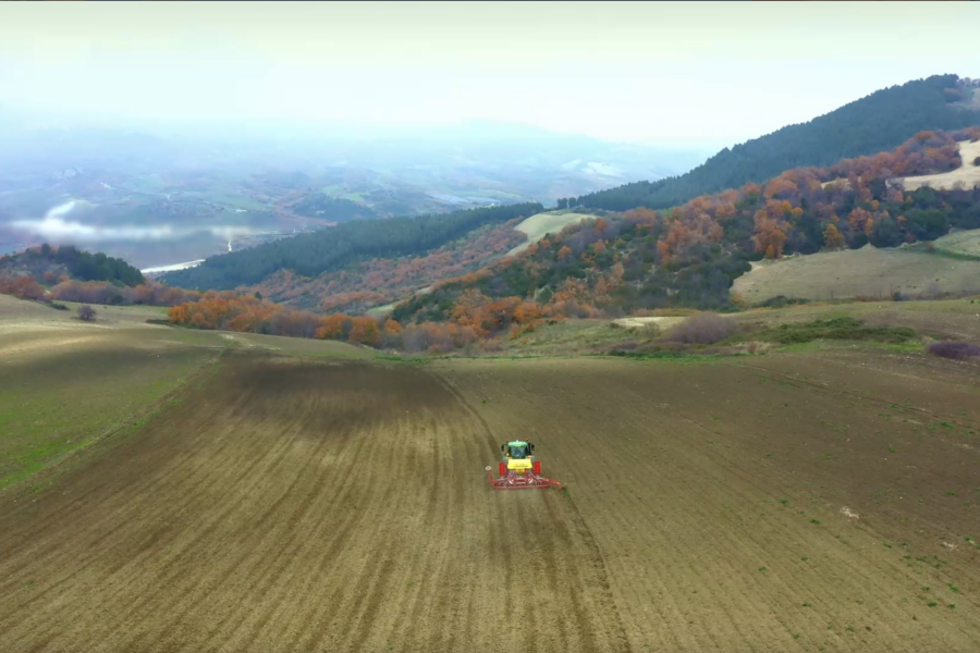 Pasta senza pesticidi e glifosato